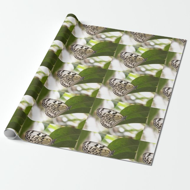 Paper Kite Butterfly (Unrolled)