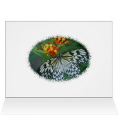 Paper Kite Butterfly Cards (Inside Horizontal (Top))