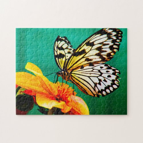 Paper Kite Butterfly Jigsaw Puzzle