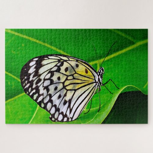 Paper Kite Butterfly Jigsaw Puzzle