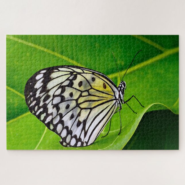 Paper Kite Butterfly. Jigsaw Puzzle (Horizontal)