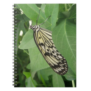 Paper Kite Butterfly Macro Notebook
