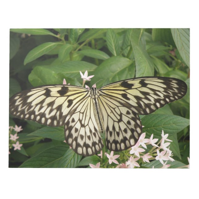 Paper Kite Butterfly Notepad (Front)