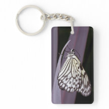 Paper Kite butterfly  on purple
