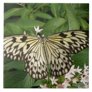 Paper Kite Butterfly Tile