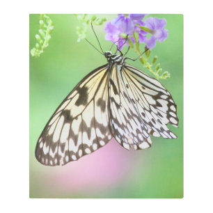 Paper kite in green and purple metal print