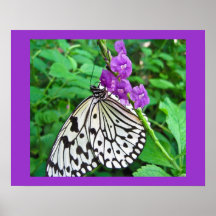 Paper Kite on Purple Flower