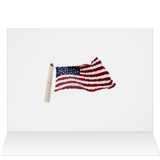 Paper Mache American Flag (Inside Horizontal (Top))