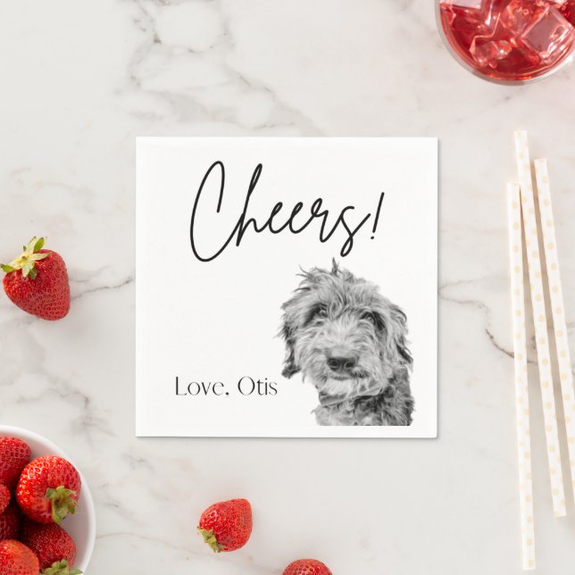 Paper Napkin (Insitu)