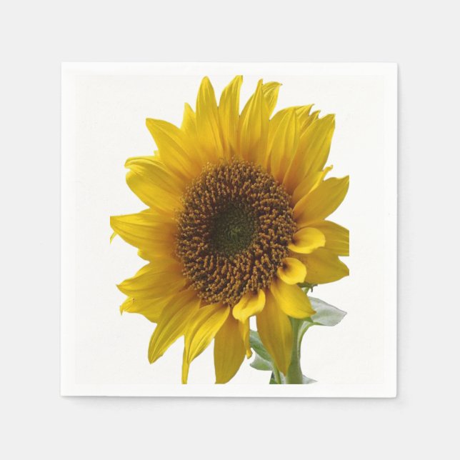 Paper Napkins (Front)