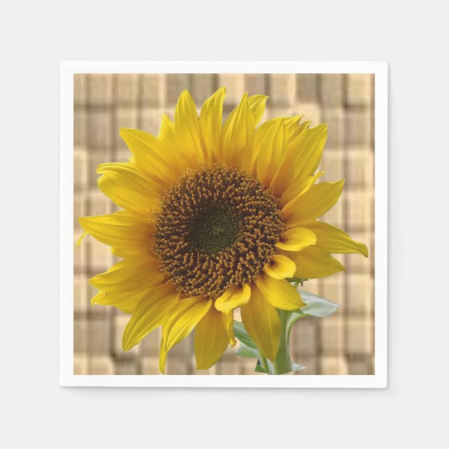 Paper Napkins (Front)