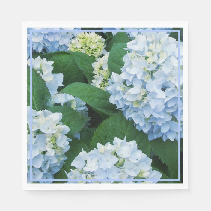 Paper Napkins-Blue Hydrangeas Napkins | Zazzle.com
