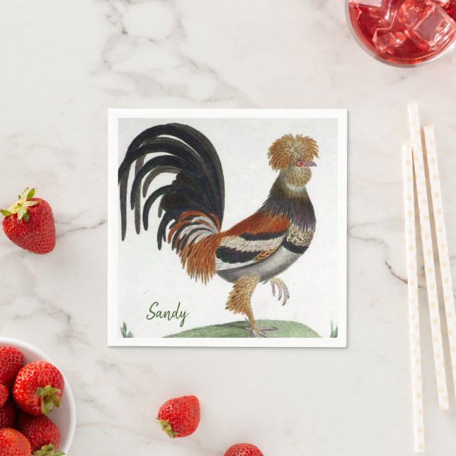 Paper Napkins, French Bird Napkins (Insitu)
