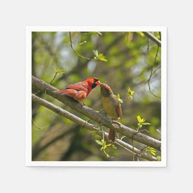 Paper Napkins, Kissing Cardinals. Napkins (Front)