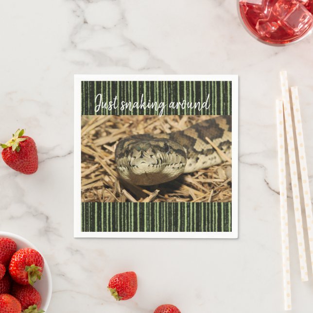 Paper Napkins, Snake Napkins (Insitu)