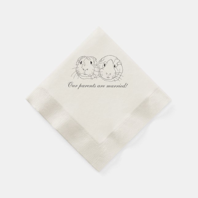 Paper Napkins, Standard Cocktail Napkins (Corner)