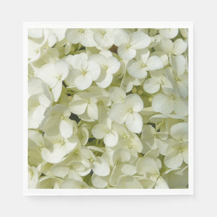 Paper NapkinsWhite Hydrangeas Napkins Zazzle