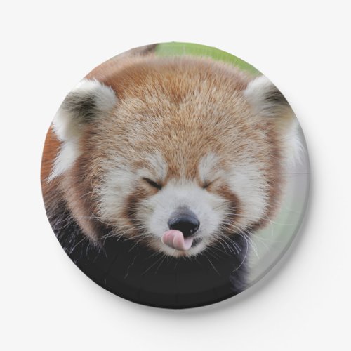 Paper plane Photo red panda 0471 Paper Plates