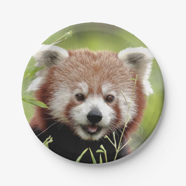 Paper plane Photo red panda 0472. Paper Plates (Front)