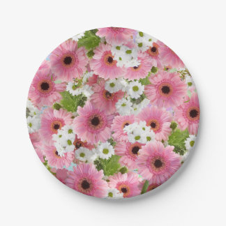 Paper Plate