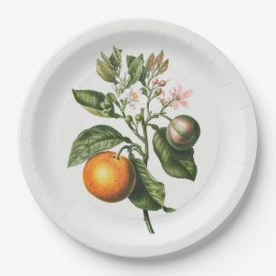PAPER PLATE : BITTER ORANGE BLOSSOM
