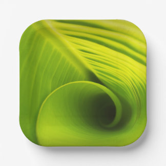 Paper Plate."Eco-Friendly Elegance: Leaf Design Di Paper Plates