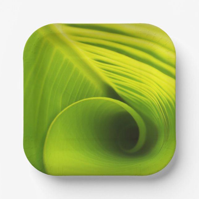 Paper Plate."Eco-Friendly Elegance: Leaf Design Di Plates (Front)