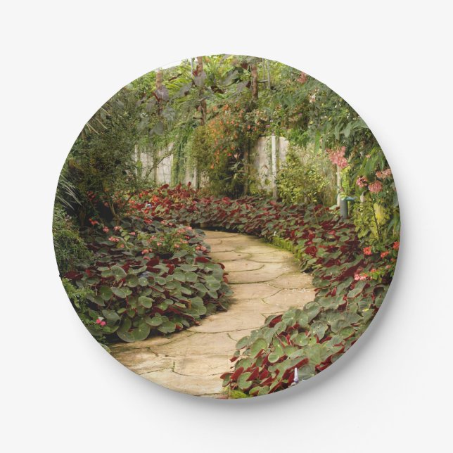 Paper Plate fairy garden  (Front)