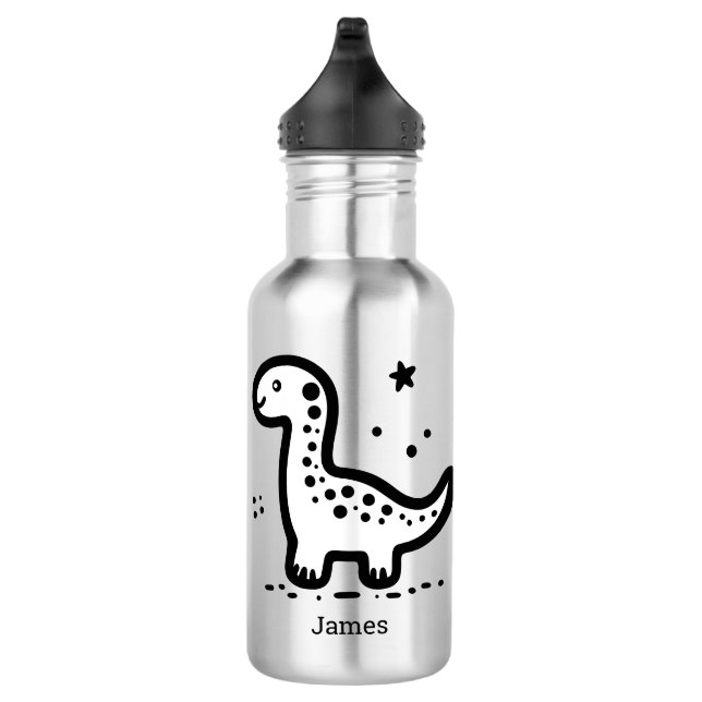 Paper Plate Stainless Steel Water Bottle (Right)