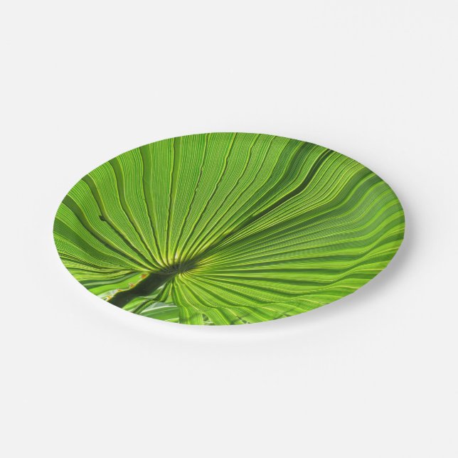 Paper Plate - Tropical Palm (Angled)