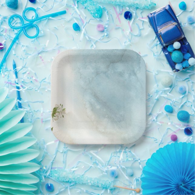 Paper plates  (Party)