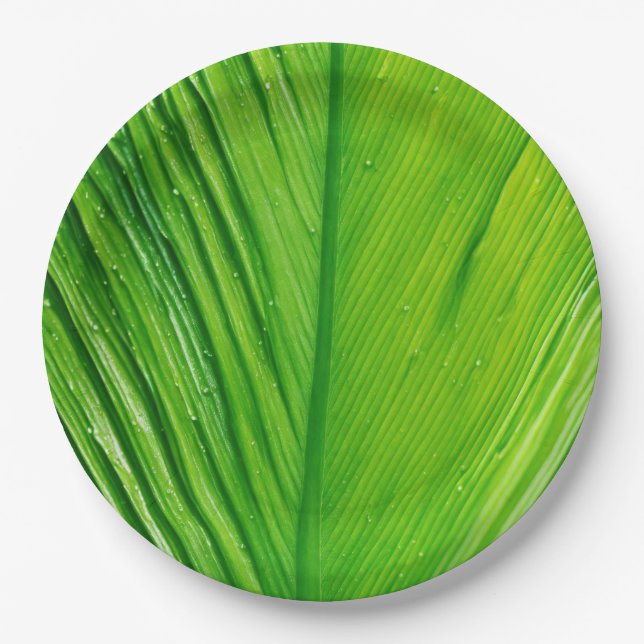 Paper Plates Adorned with Leaf Patterns (Front)