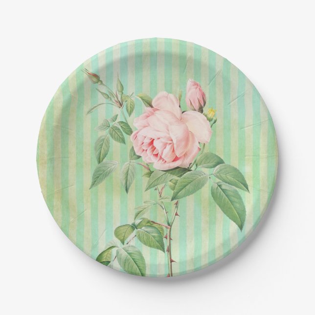 Paper Plates, Green Stripe Floral Pink Rose Plates (Front)