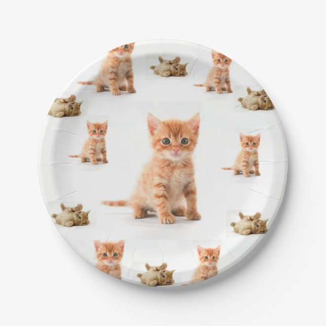 Paper Plates Kitten (Front)