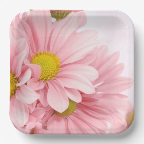Paper Plates Pink Daisies