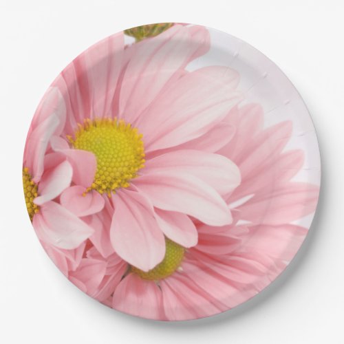 Paper Plates Pink Daisies