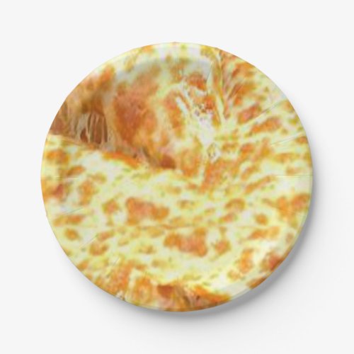 Paper plates Pizza