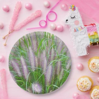 PAPER PLATES / PURPLE FOUNTAIN GRASS/PHOTOG