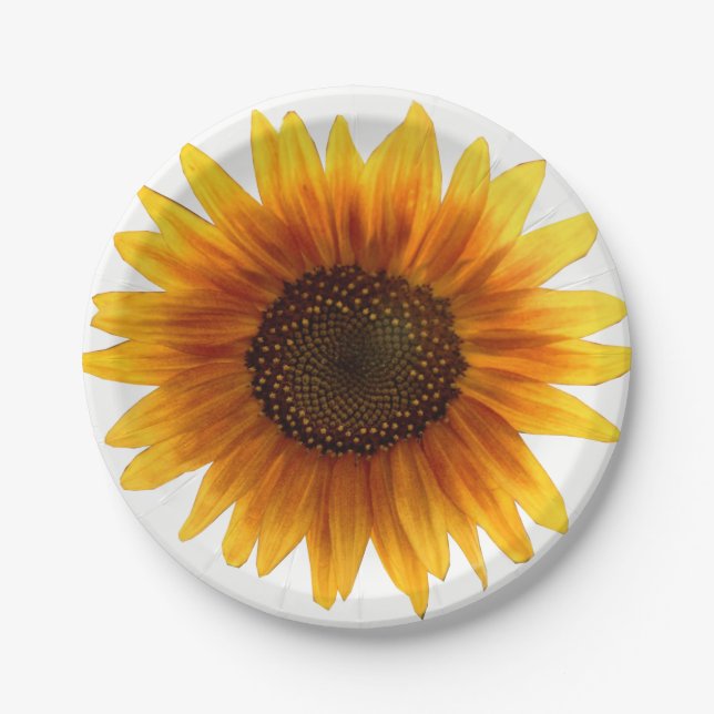 Paper plates Sunflowers (Front)