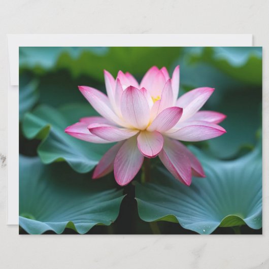 Paper Sheet,Floral Serenity (Back)