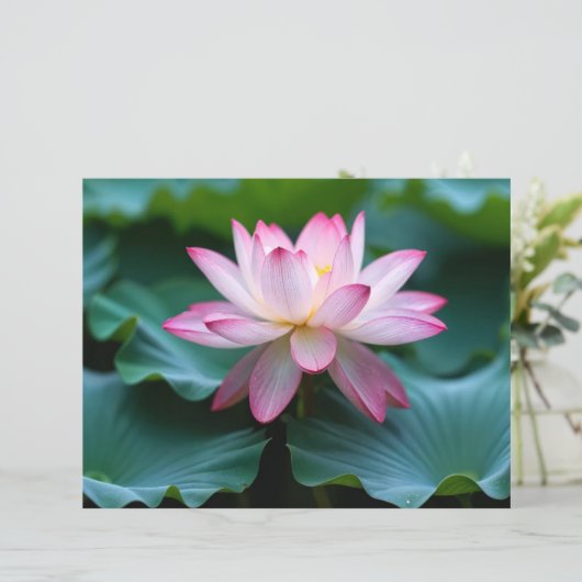 Paper Sheet,Floral Serenity (Standing Front)