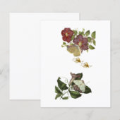 Paper sheets (Front/Back)