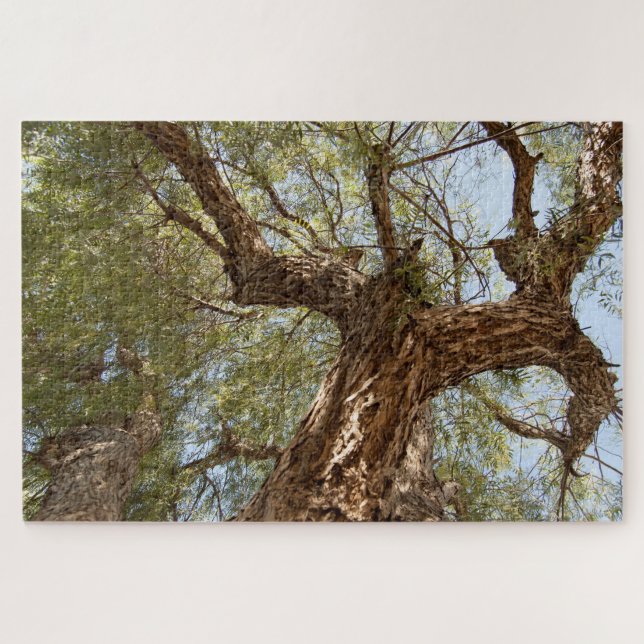 Paper Thorn Tree - Look Up Jigsaw Puzzle (Horizontal)