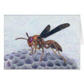 Paper Wasp Art Card (Front Horizontal)