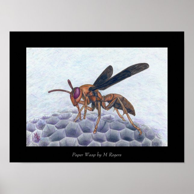 Paper Wasp Art Print (Front)