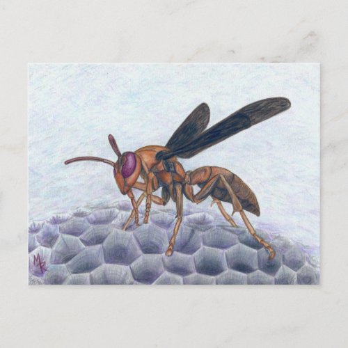 Paper Wasp _ Insect Painting Postcard