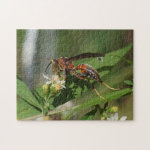 Paper Wasp on Flower Puzzle