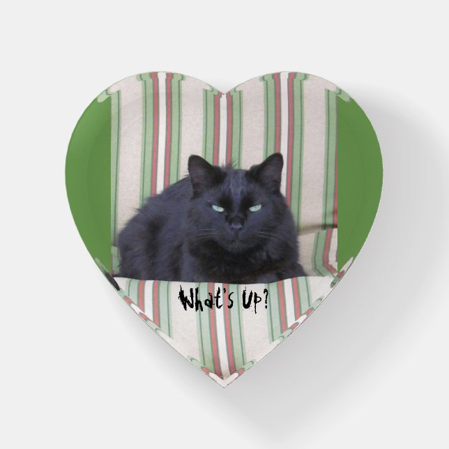 Paper Weight - Black Cat on Stripes (Front)