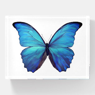 Paper Weight Blue Morpho Butterfly