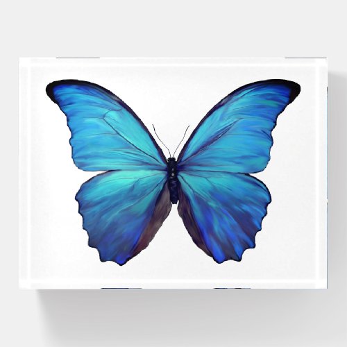Paper Weight Blue Morpho Butterfly